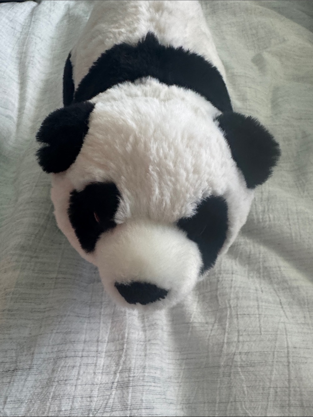 Plush Panda Small Pet- Black and White